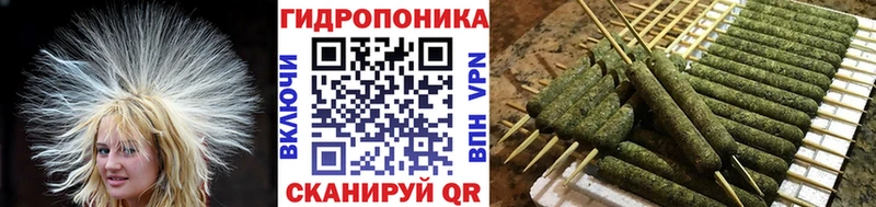 Купить где  Кореновск  Бошки Шишки гибрид 
